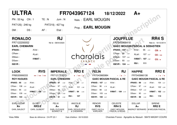 genealogie taureau charolais ULTRA