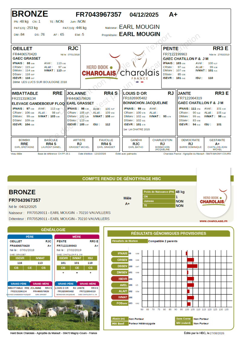 genealogie taureau charolais BRONZE    