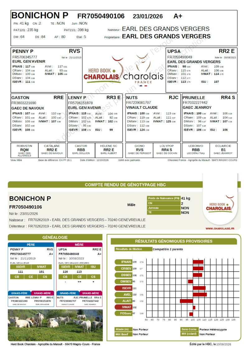 genealogie taureau charolais BONICHON P