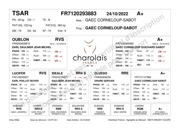 genealogie taureau charolais TSAR