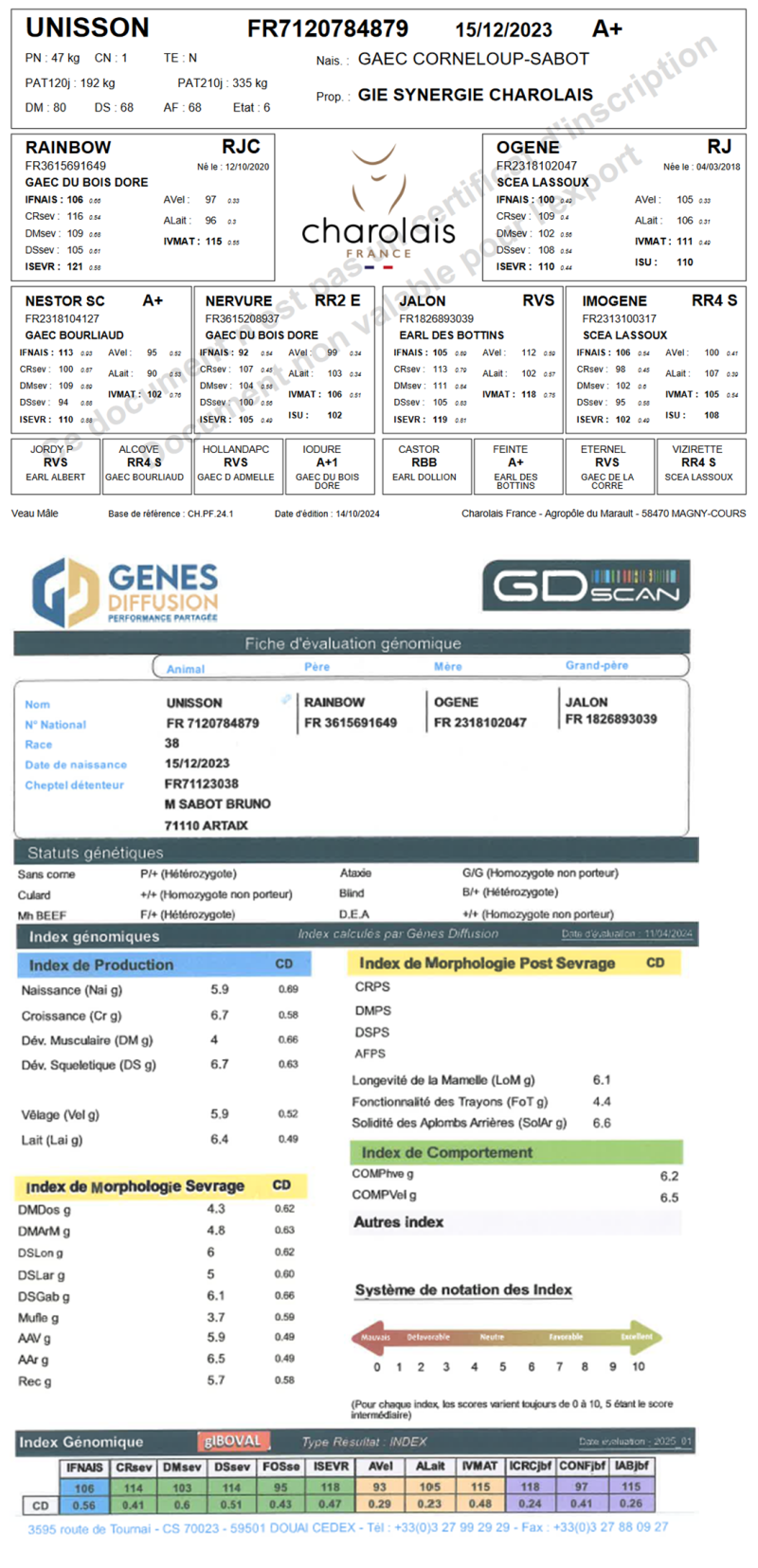 genealogie taureau charolais UNISSON