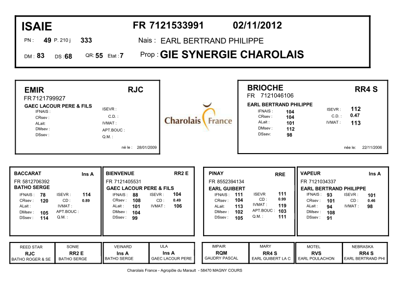 genealogie taureau charolais ISAIE