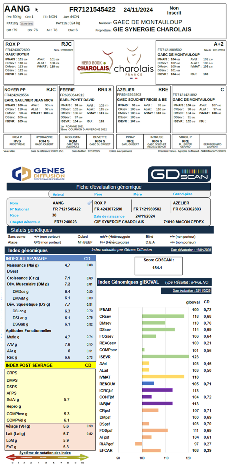 genealogie taureau charolais AANG