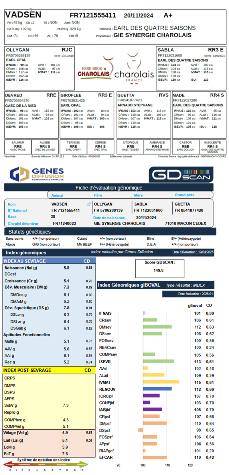 genealogie taureau charolais VADSEN