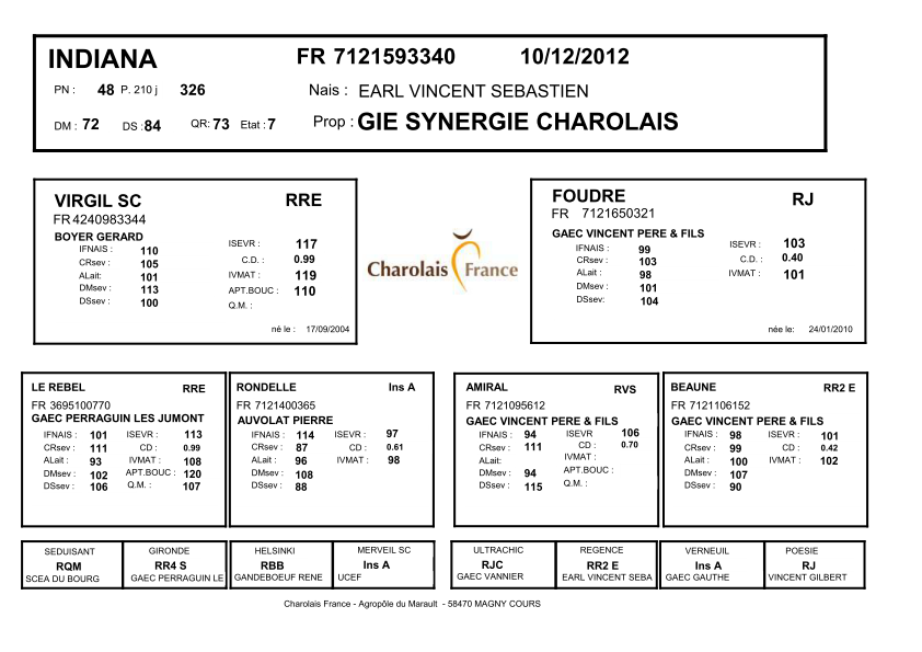 genealogie taureau charolais INDIANA
