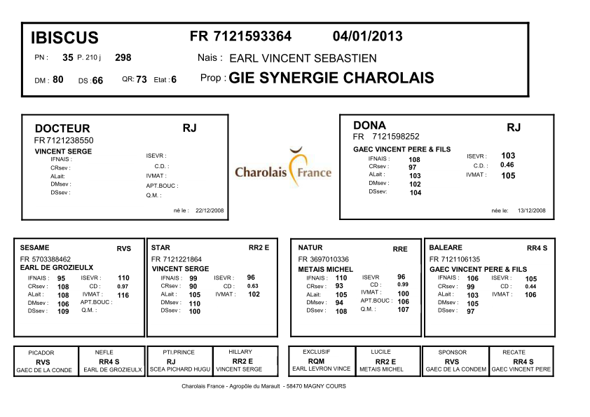 genealogie taureau charolais IBISCUS