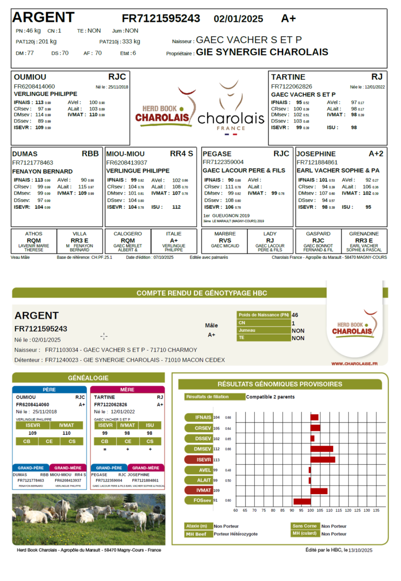 genealogie taureau charolais ARGENT