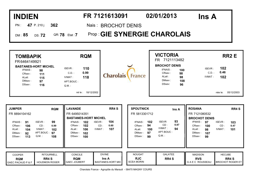 genealogie taureau charolais INDIEN