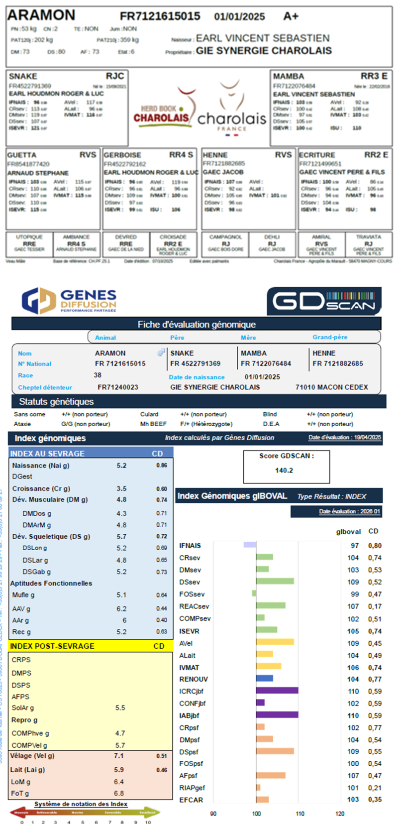 genealogie taureau charolais ARAMON
