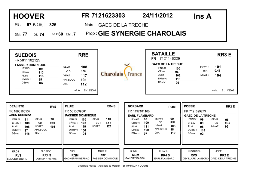 genealogie taureau charolais HOOVER