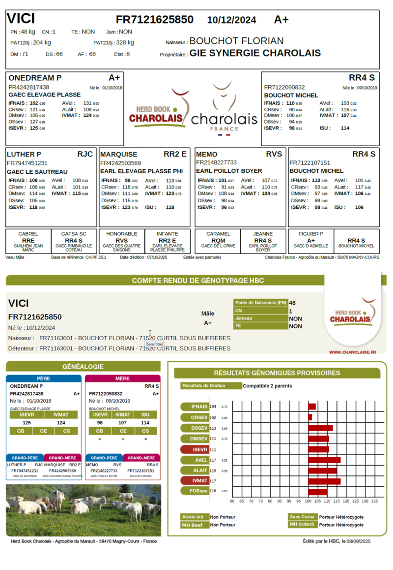 genealogie taureau charolais VICI