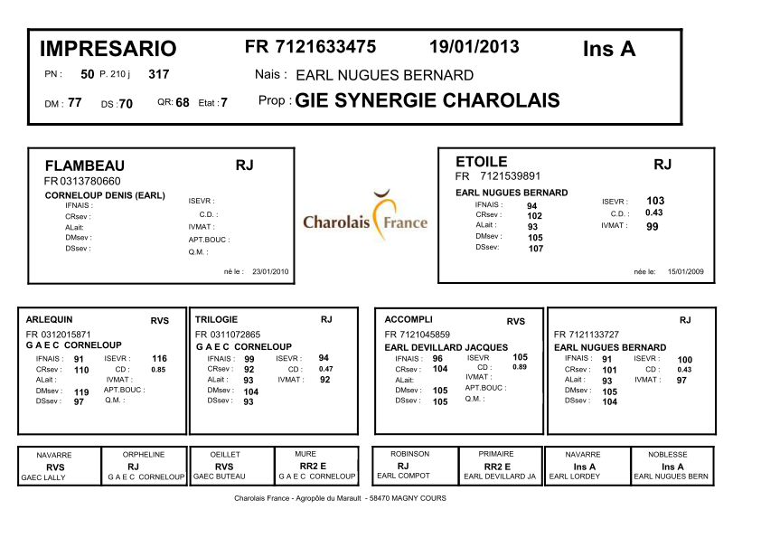 genealogie taureau charolais IMPRESARIO