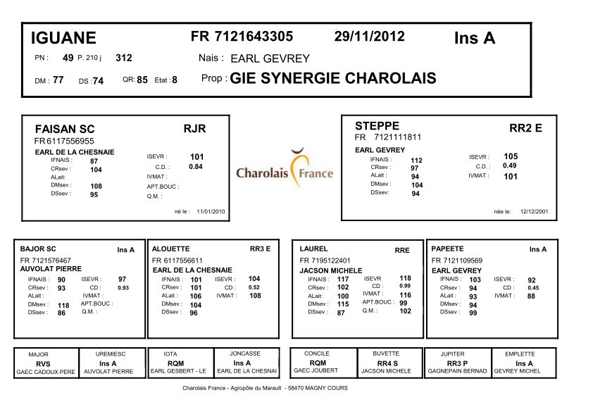 genealogie taureau charolais IGUANE