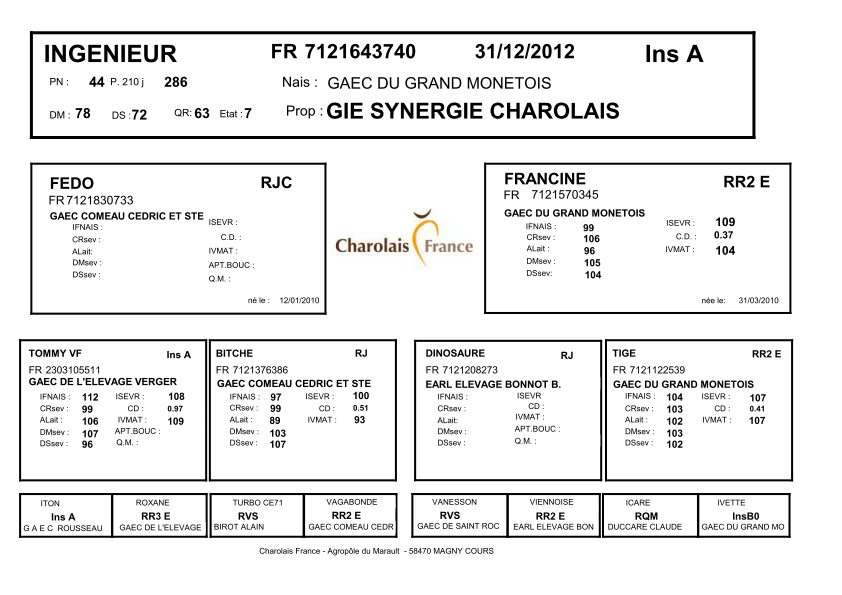 genealogie taureau charolais INGENIEUR