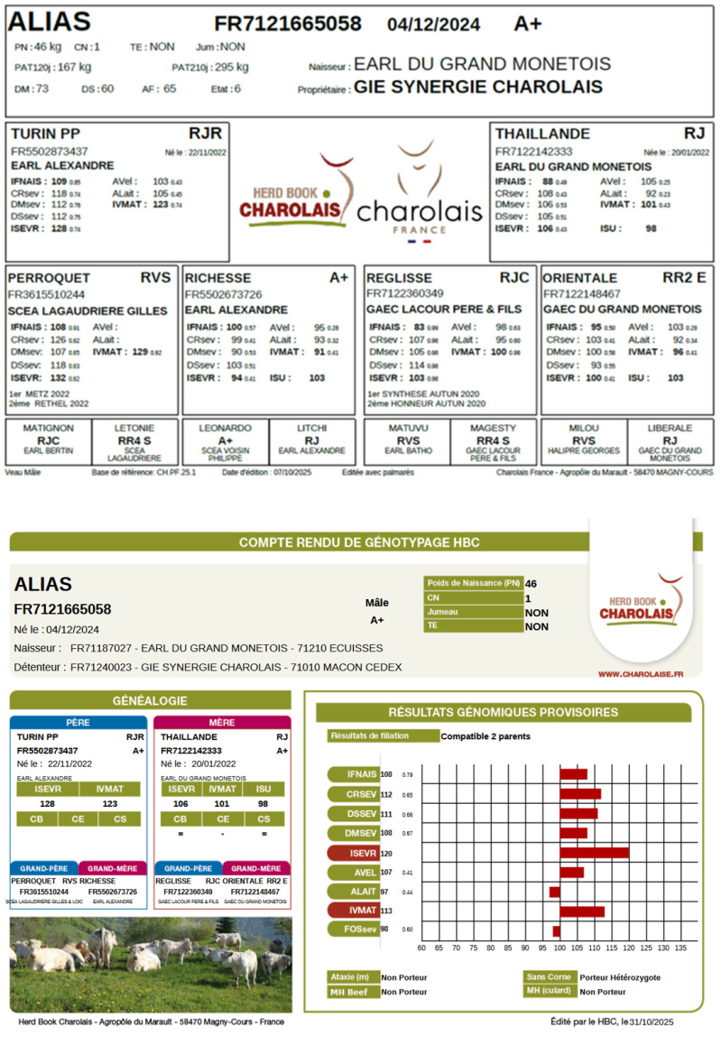 genealogie taureau charolais ALIAS