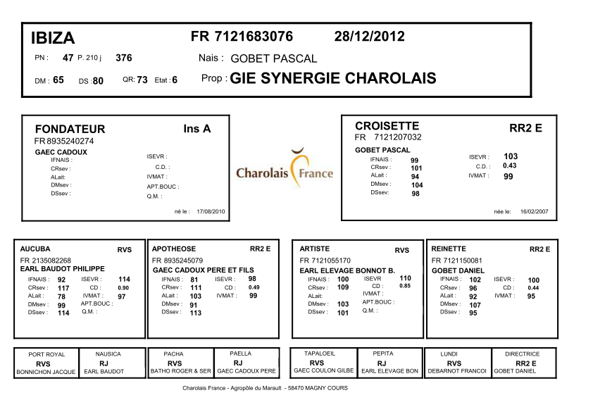 genealogie taureau charolais IBIZA