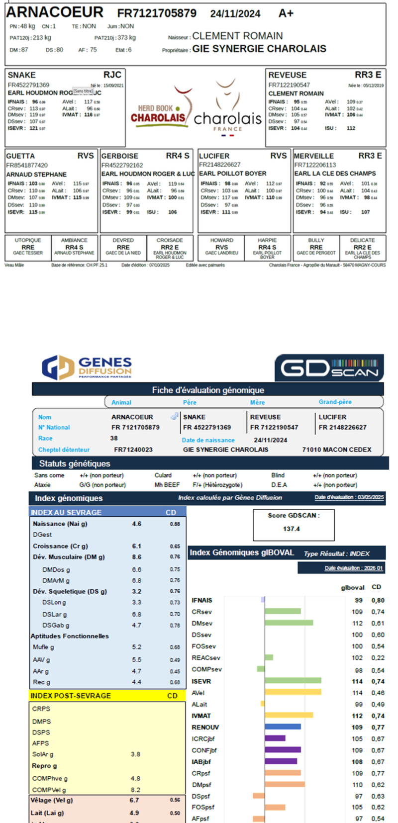 genealogie taureau charolais ARNACOEUR