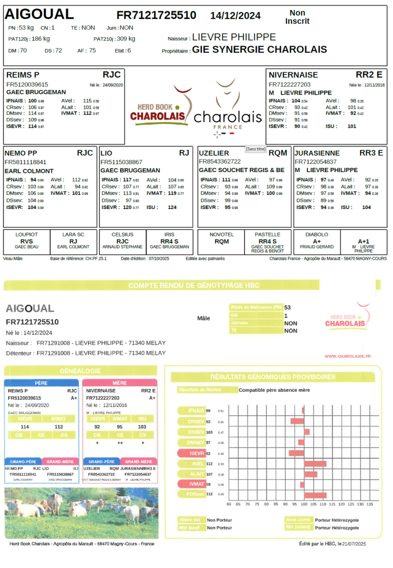 genealogie taureau charolais AIGOUAL
