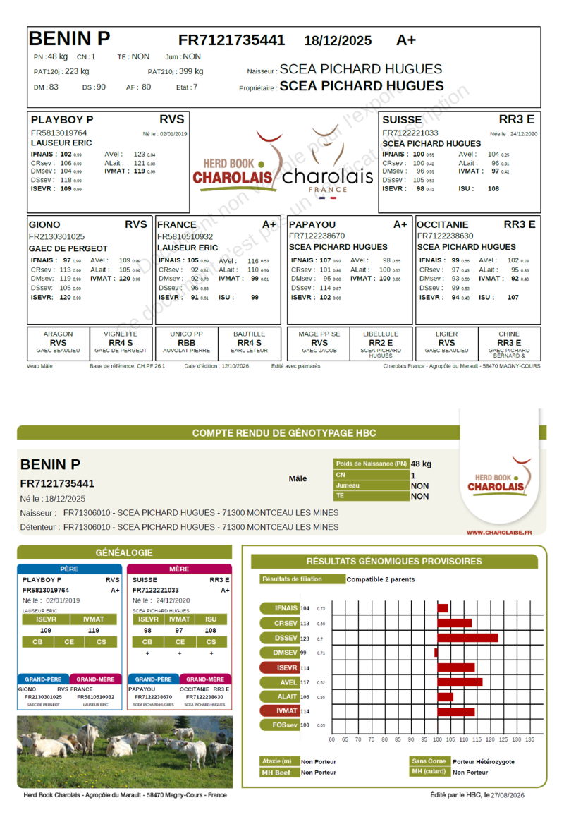 genealogie taureau charolais BENIN P   