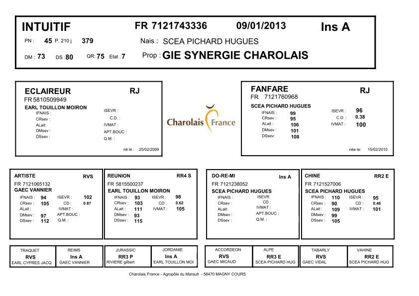 genealogie taureau charolais INTUITIF