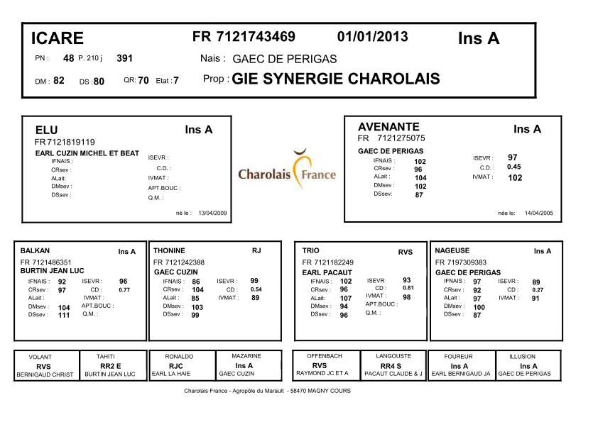 genealogie taureau charolais ICARE