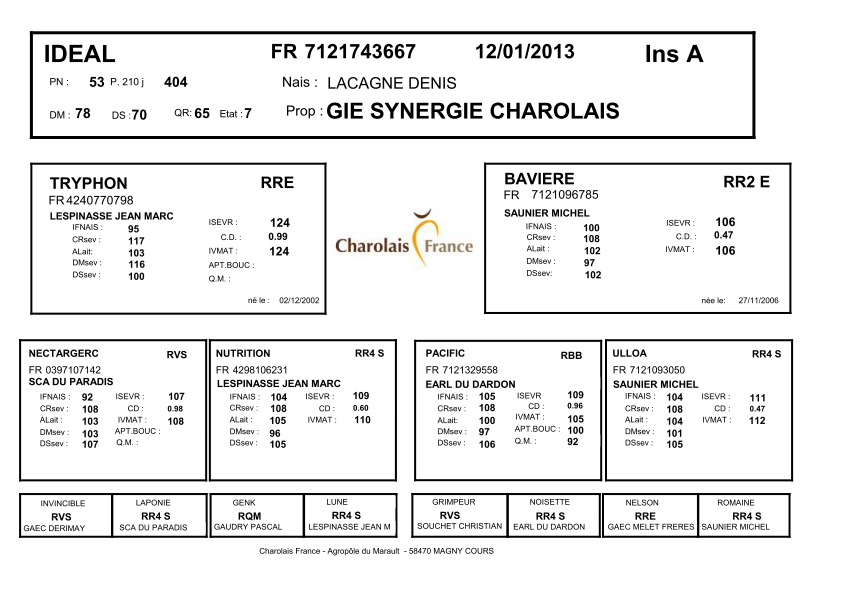 genealogie taureau charolais IDEAL