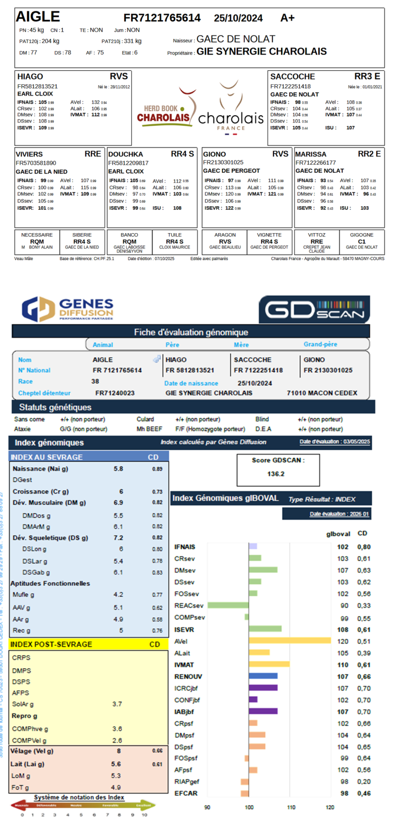 genealogie taureau charolais AIGLE
