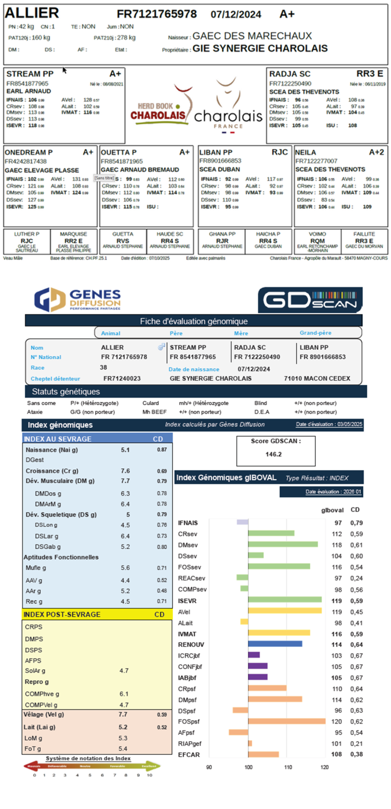genealogie taureau charolais ALLIER