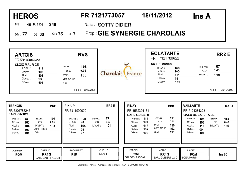 genealogie taureau charolais HEROS