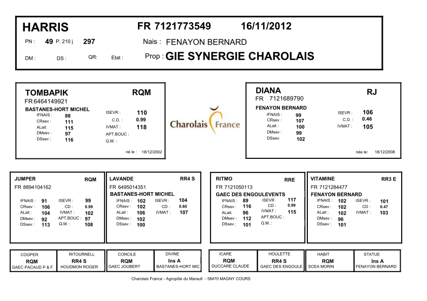 genealogie taureau charolais HARRIS