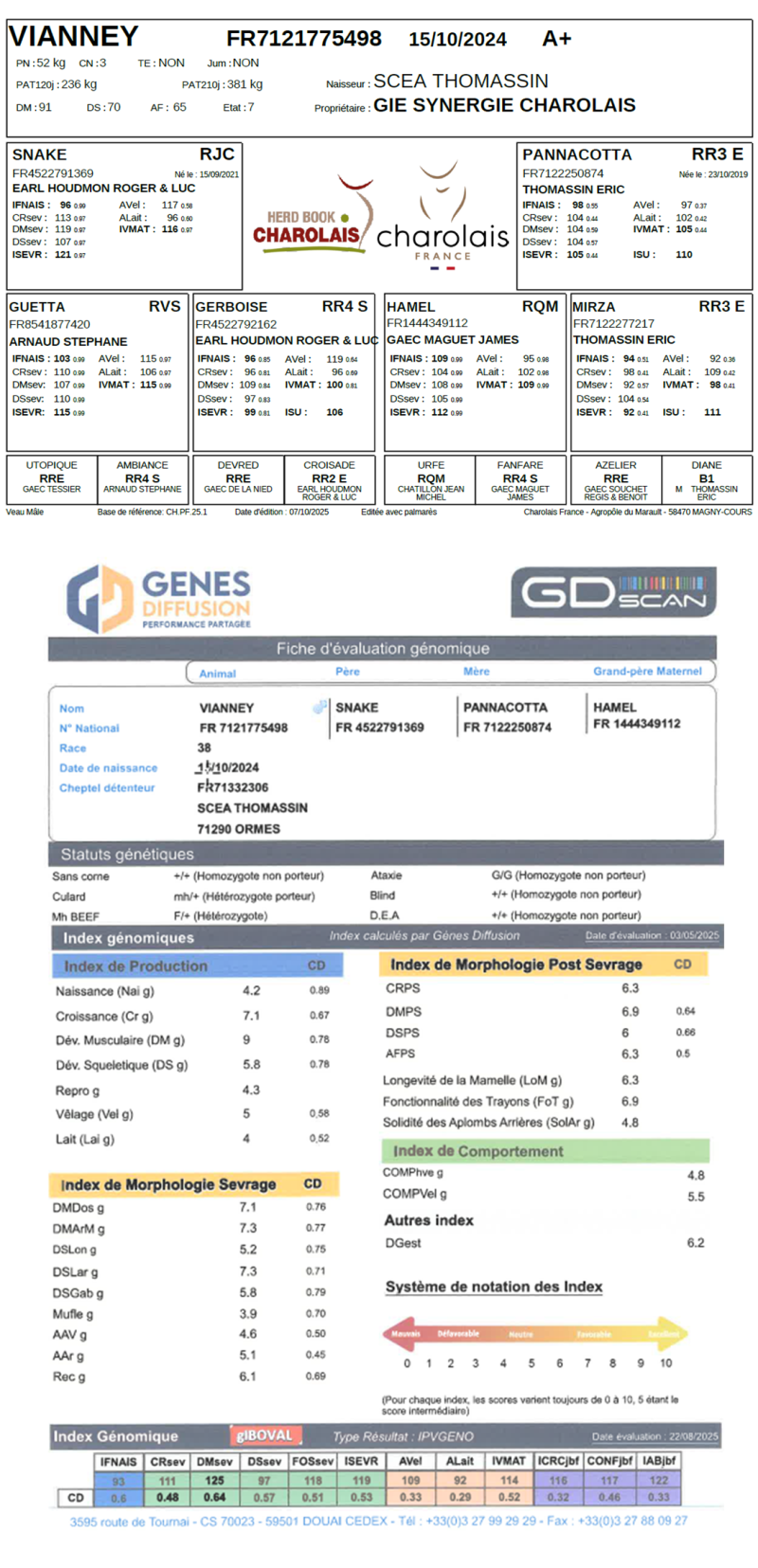 genealogie taureau charolais VIANNEY