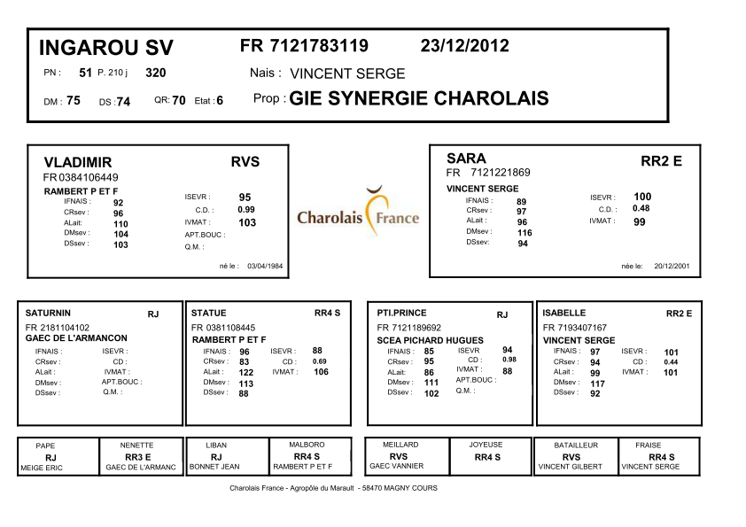 genealogie taureau charolais INGAROU SV