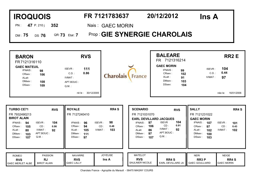 genealogie taureau charolais IROQUOIS