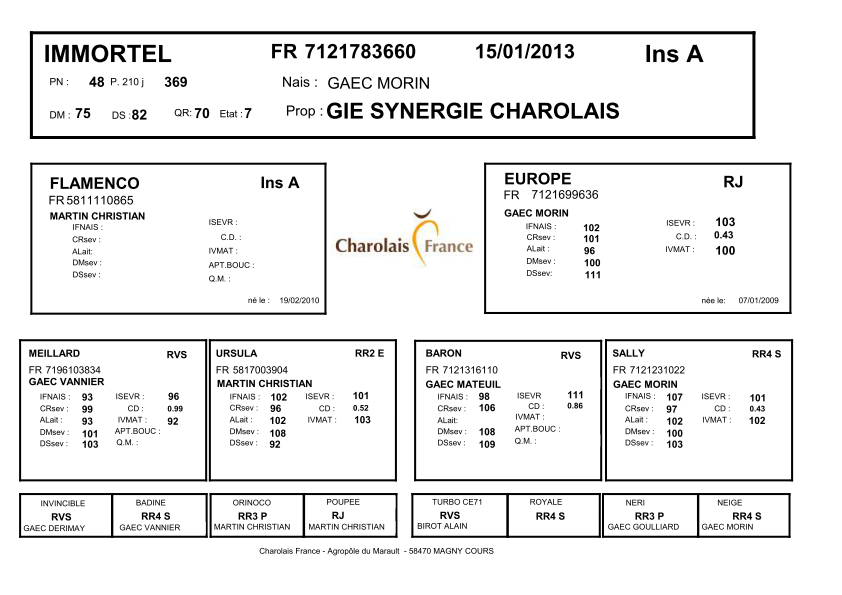 genealogie taureau charolais IMMORTEL