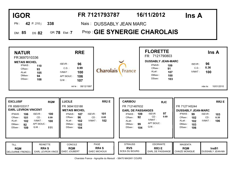 genealogie taureau charolais IGOR