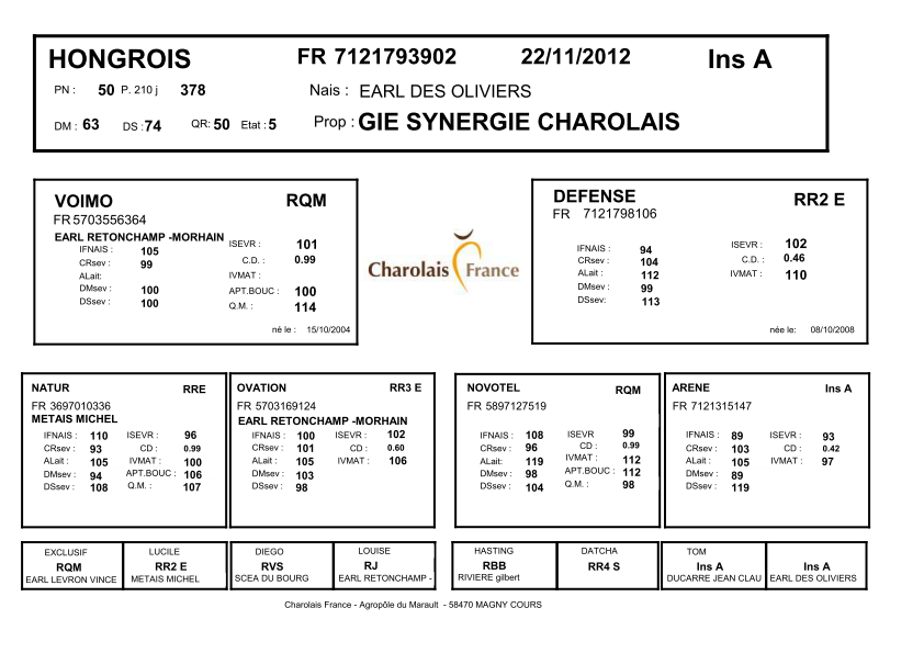 genealogie taureau charolais HONGROIS