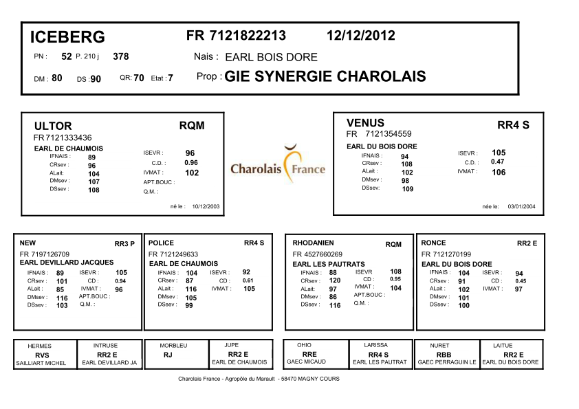 genealogie taureau charolais ICEBERG