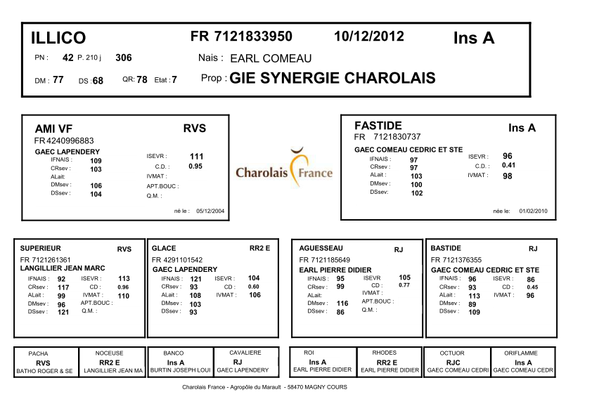 genealogie taureau charolais ILLICO