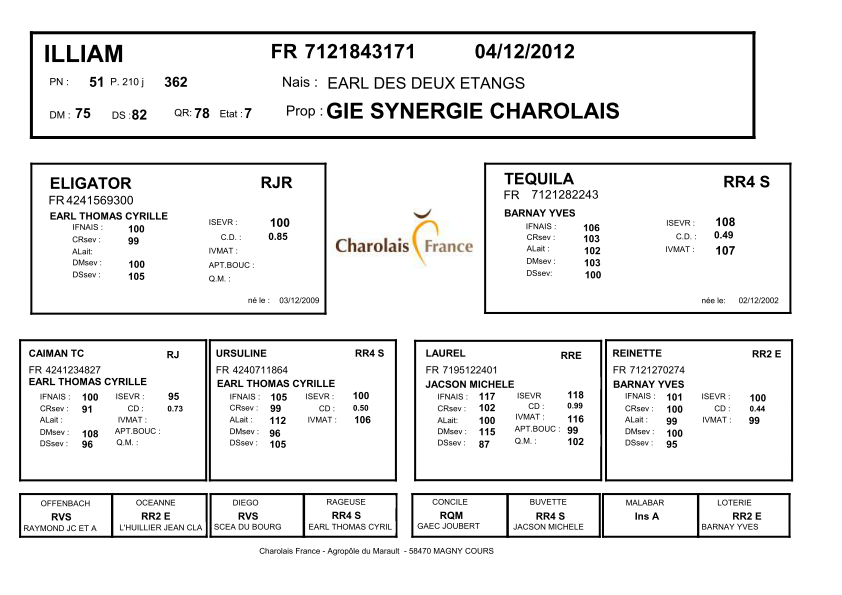 genealogie taureau charolais ILLIAM