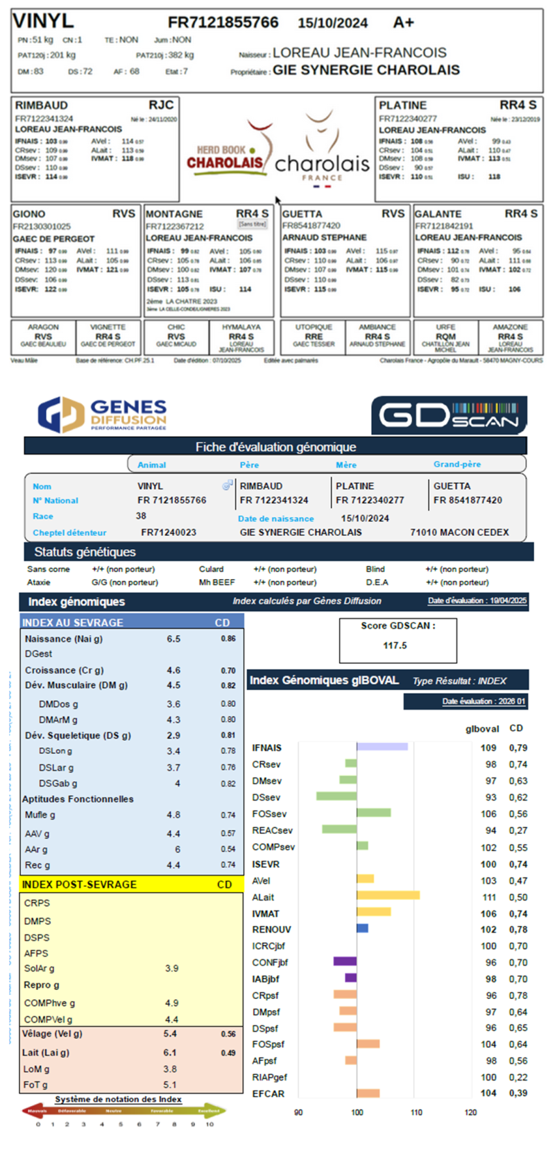 genealogie taureau charolais VINYL