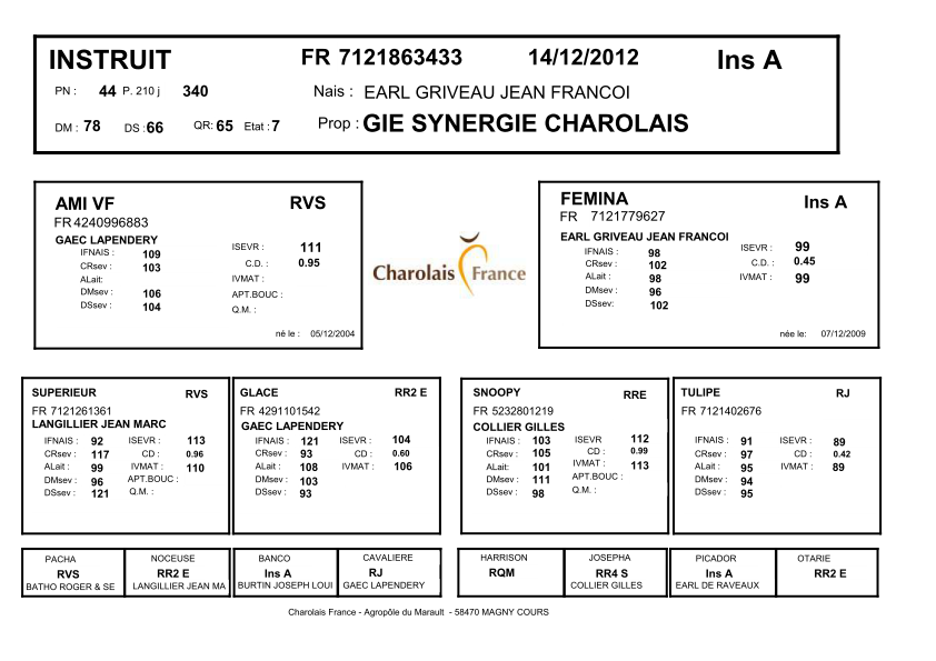 genealogie taureau charolais INSTRUIT
