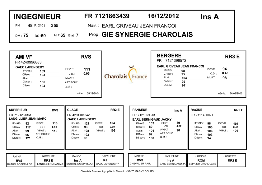 genealogie taureau charolais INGEGNIEUR