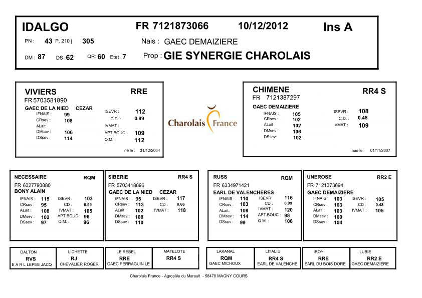 genealogie taureau charolais IDALGO