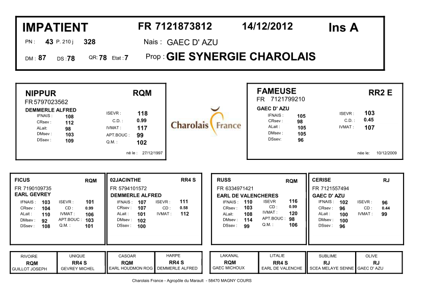 genealogie taureau charolais IMPATIENT