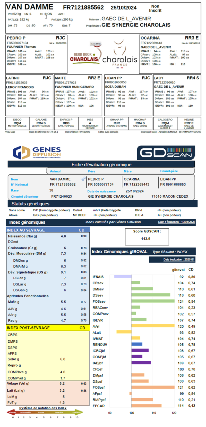 genealogie taureau charolais VAN DAMME