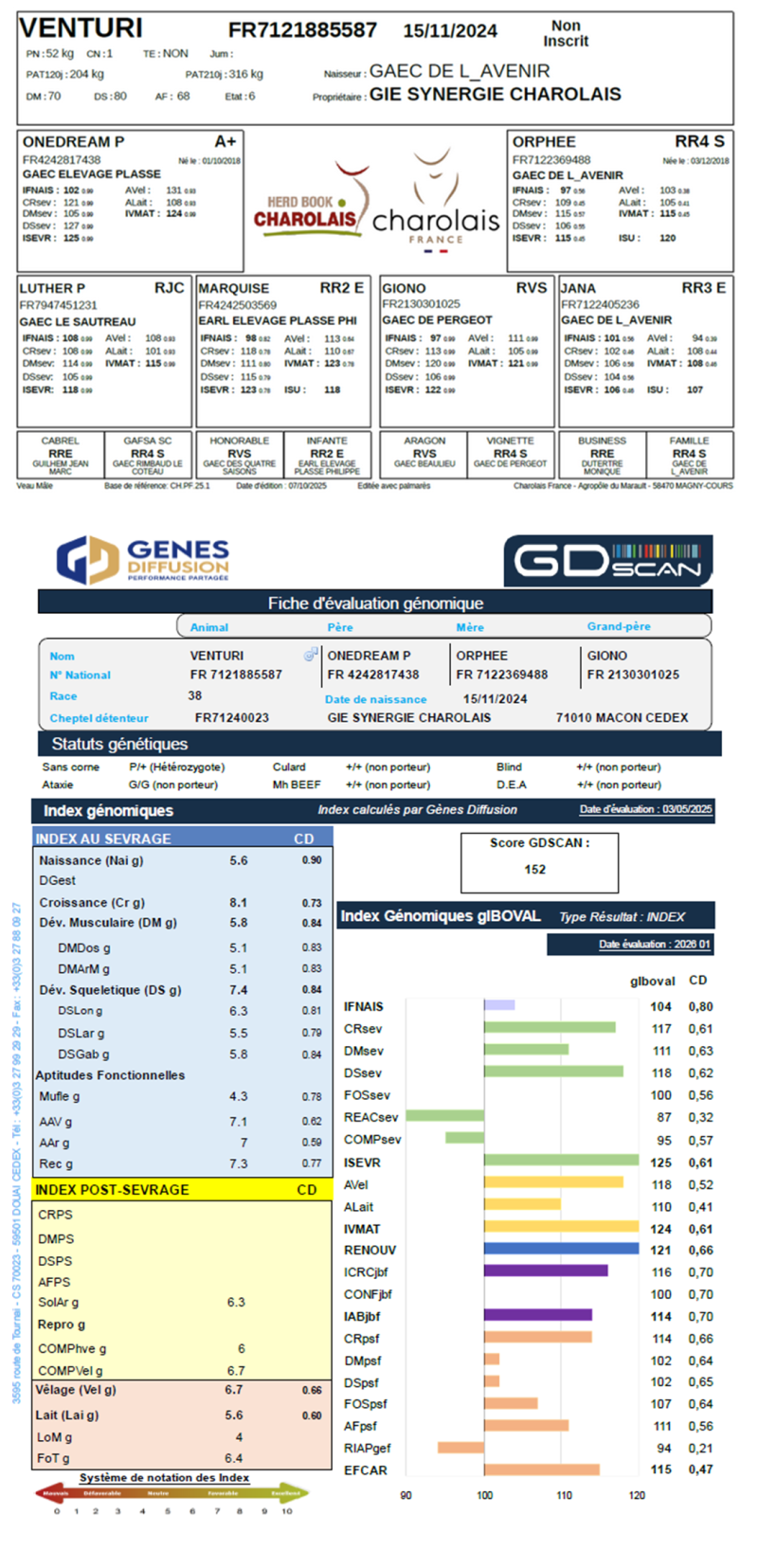 genealogie taureau charolais VENTURI