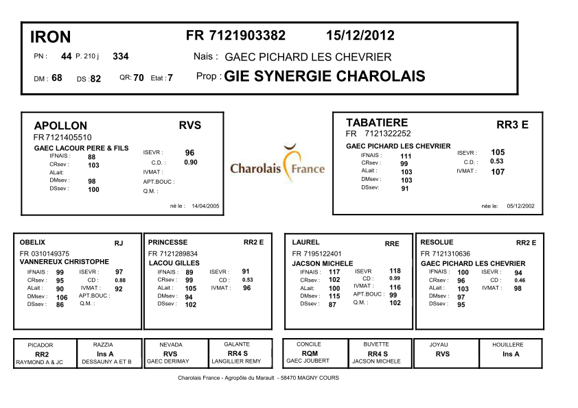genealogie taureau charolais IRON