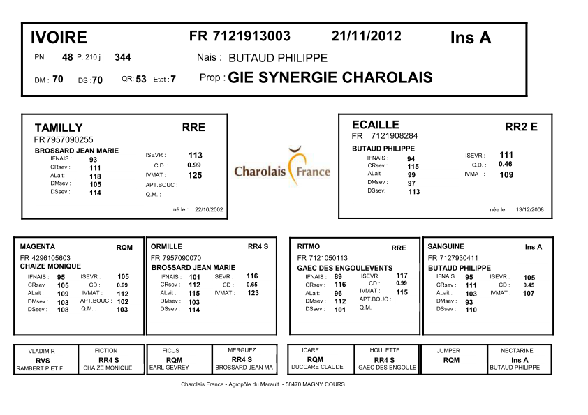 genealogie taureau charolais IVOIRE