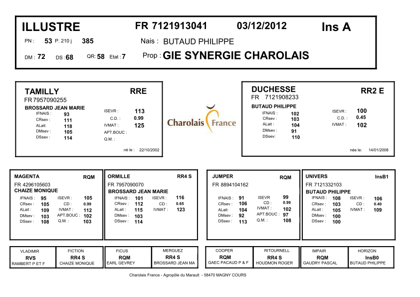 genealogie taureau charolais ILLUSTRE