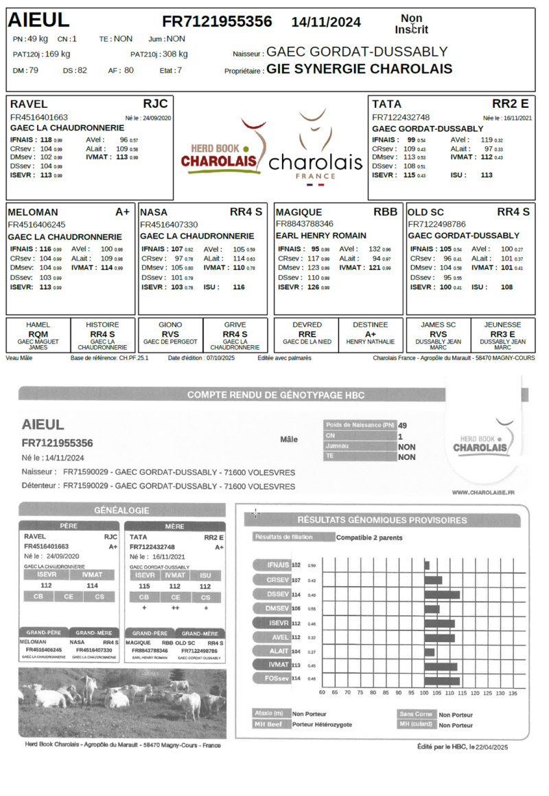 genealogie taureau charolais AIEUL